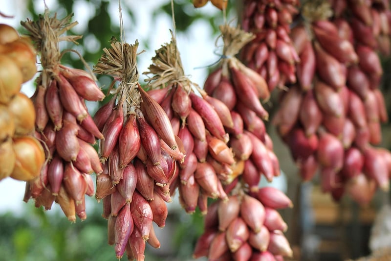 Gardening Blogs