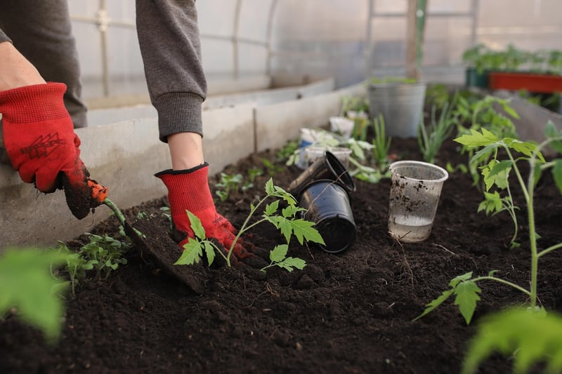 Gardening Tools