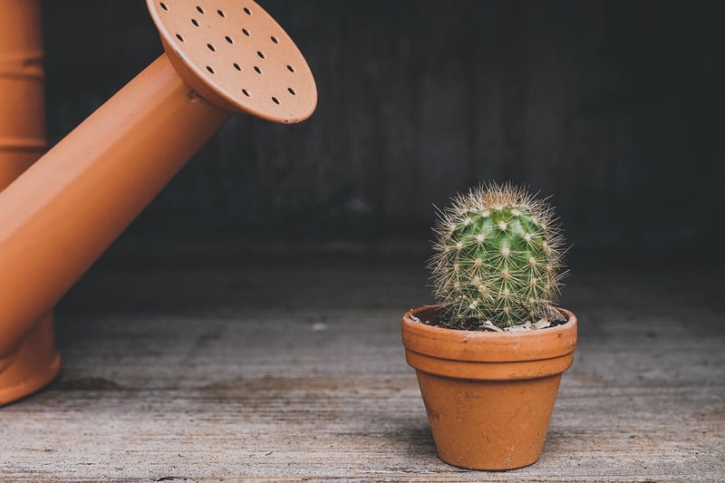 Online Gardening Classes